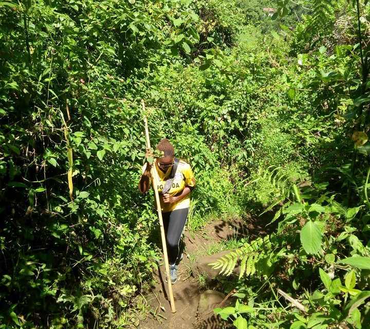 Lorna sipi falls 11