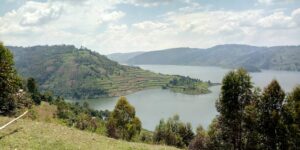 Terraced hills in Pearl of Africa