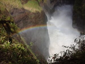Wildlife And Water Falls Safari-11 Days