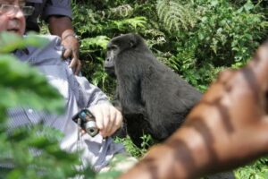Wildlife,Lakes & Gorilla Tour-8days